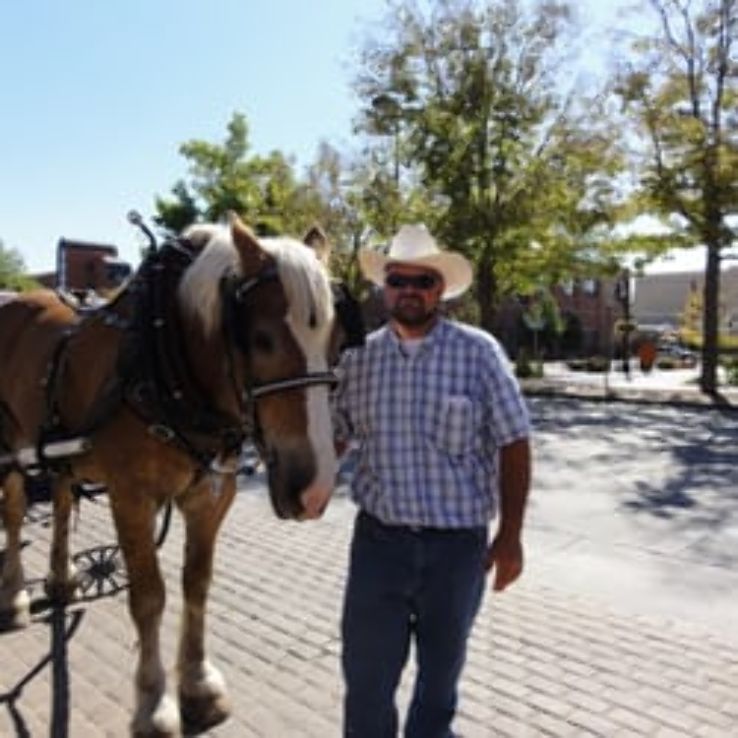 Horseback Riding Trip Packages