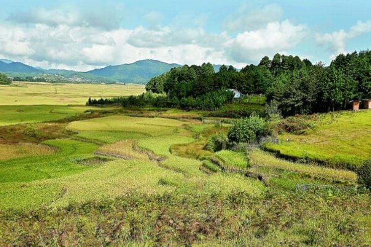 Magical Ziro Nature Tour Package for 3 Days 2 Nights