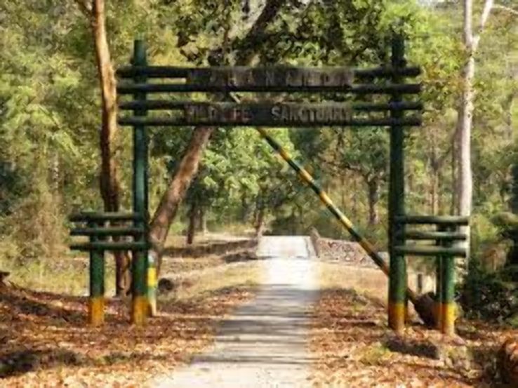 Mahananda Wildlife Sanctuary Trip Packages