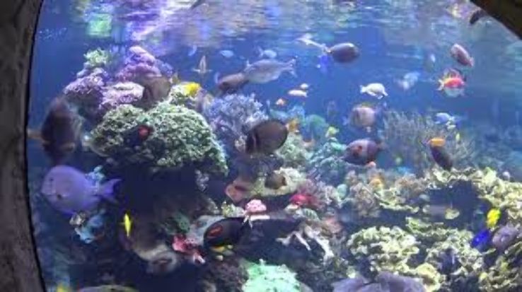 Aquarium and Exhibition Center Trip Packages
