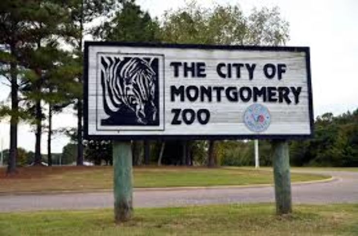 Montgomery Zoo Trip Packages