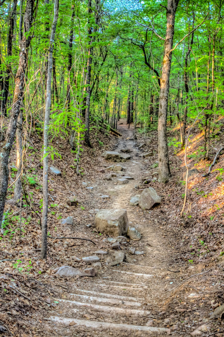 Red Mountain Park  Trip Packages