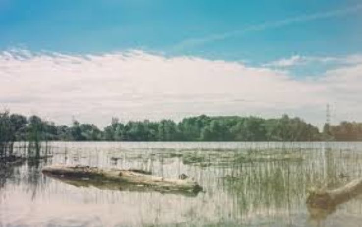 Westminster Ponds Trip Packages Westminster Ponds Trip Packages