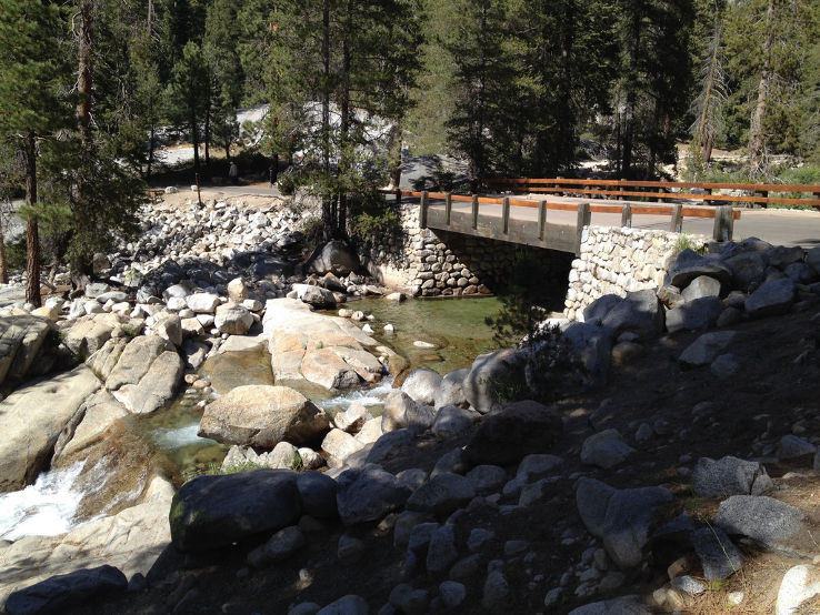 Montana Trip Packages