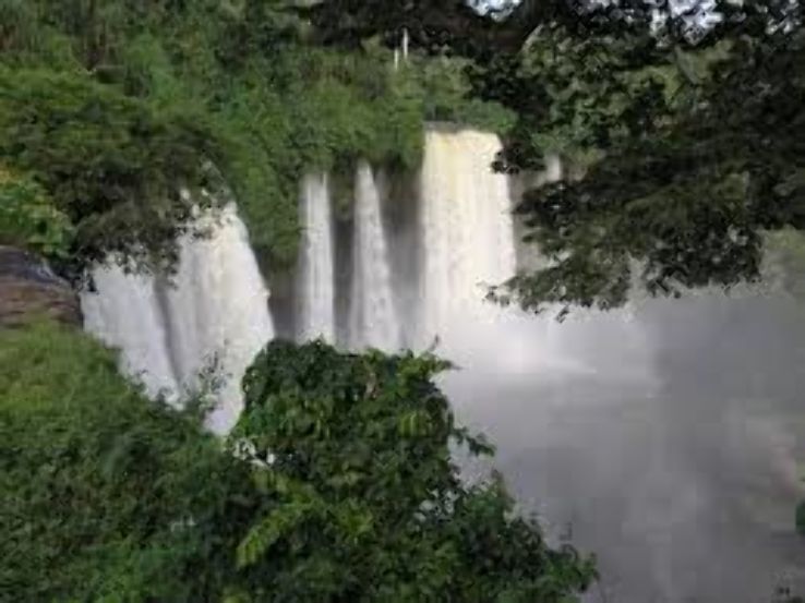 Kurra Falls Trip Packages