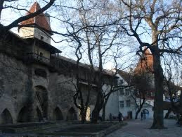 Danish Kings Garden Trip Packages