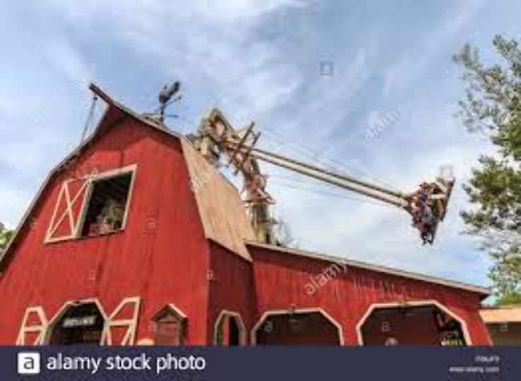 Giant Barn Swing Trip Packages