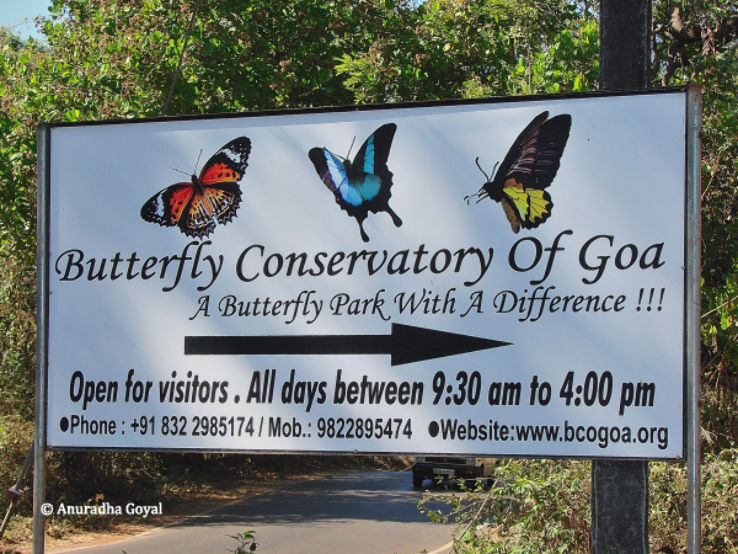 Butterfly Conservatory Trip Packages