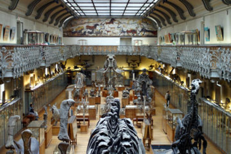 The Natural History Museum Tours Trip Packages