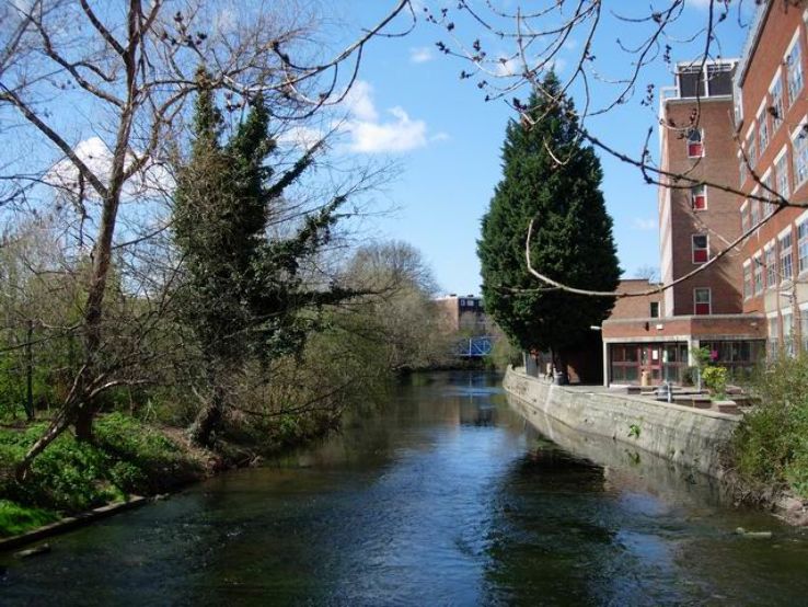 The Hogsmill River Trip Packages