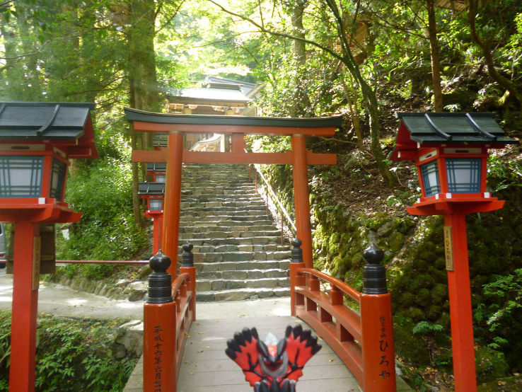 Kifune Shrine Trip Packages