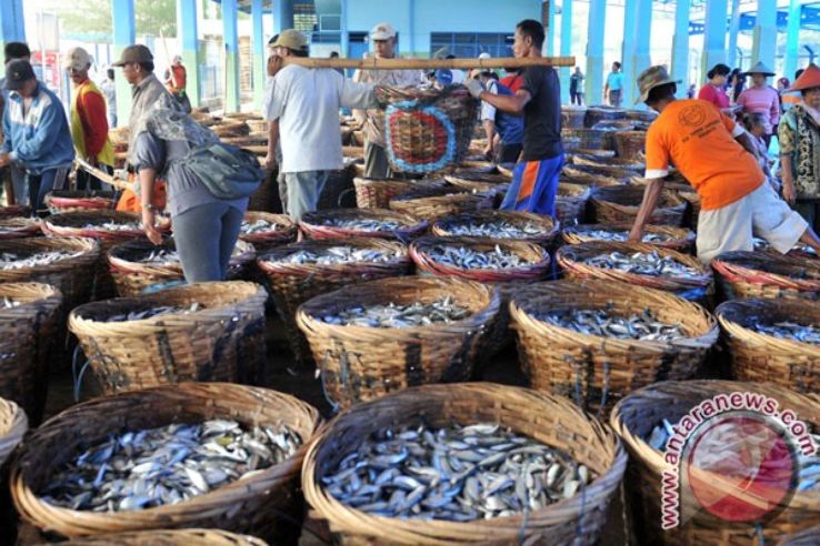 Panyam fish farm Trip Packages