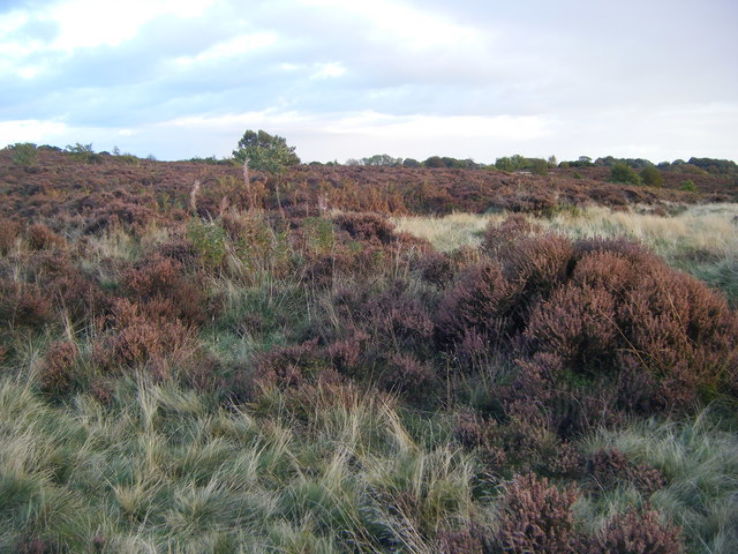 Waldridge Fell Trip Packages