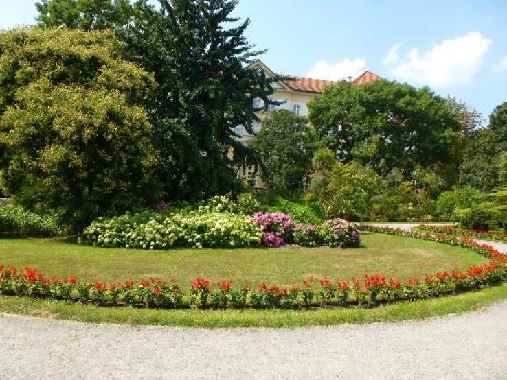 Botanic Garden of the Jagiellonian University Trip Packages