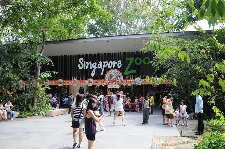 Singapore Zoo Trip Packages