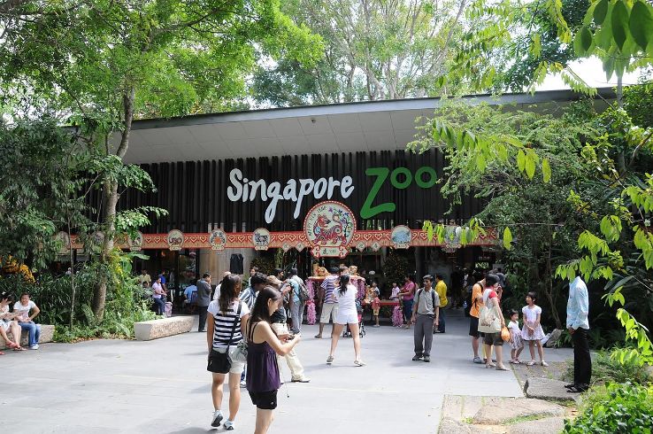 Magical 5 Days 4 Nights SINGAPORE Family Tour Package