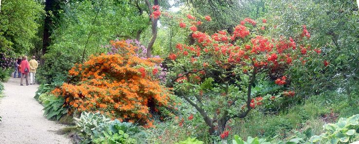 Arboretum Trompenburg Trip Packages