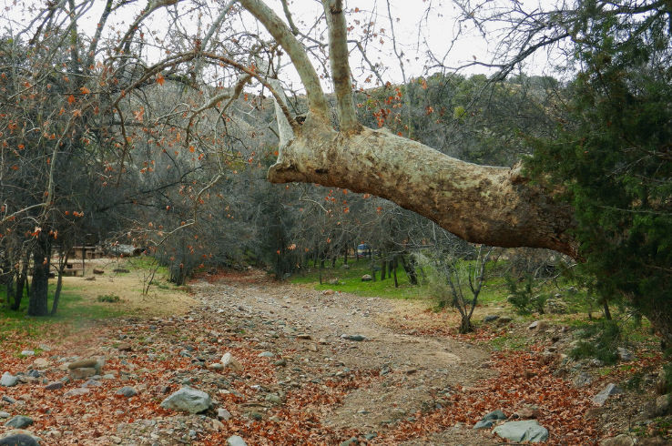 Peppersauce Canyon and Campground  Trip Packages