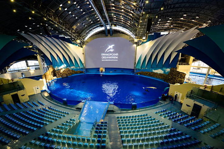 Primorsky Aquarium Trip Packages