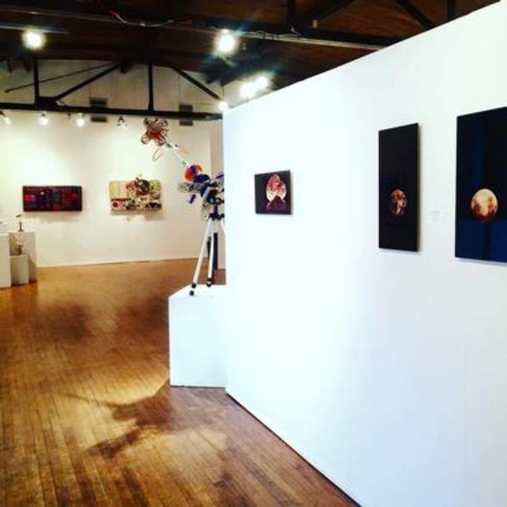 Buckham Gallery Trip Packages