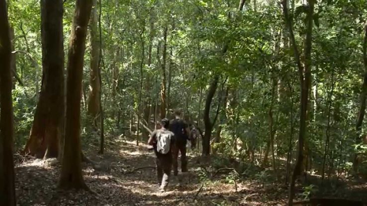 Trekking Trip Packages Trekking Trip Packages
