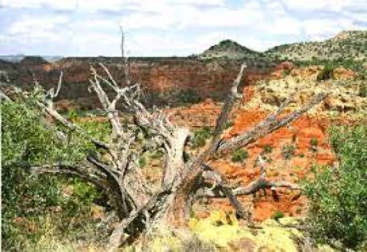 Comanche National Grasslands Trip Packages