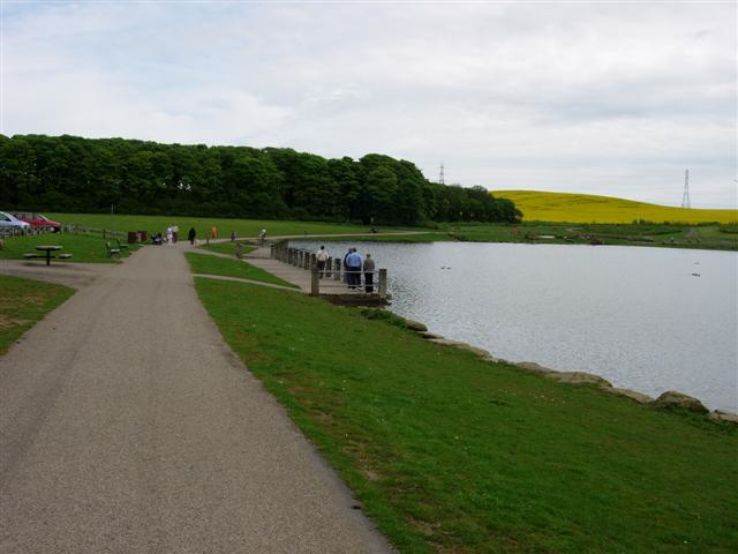 Herrington Country Park Trip Packages