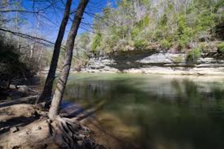 Bankhead National Forest Trip Packages