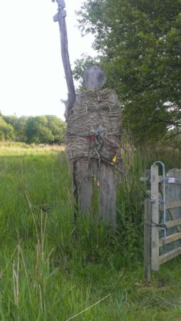 Winnall Moors Trip Packages