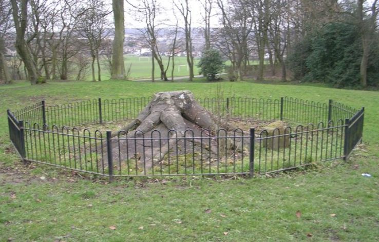 Bowling Park Trip Packages