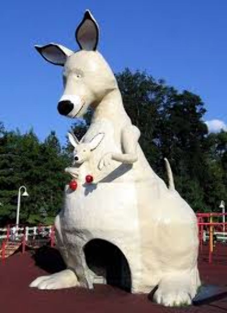 Penguin Park Trip Packages