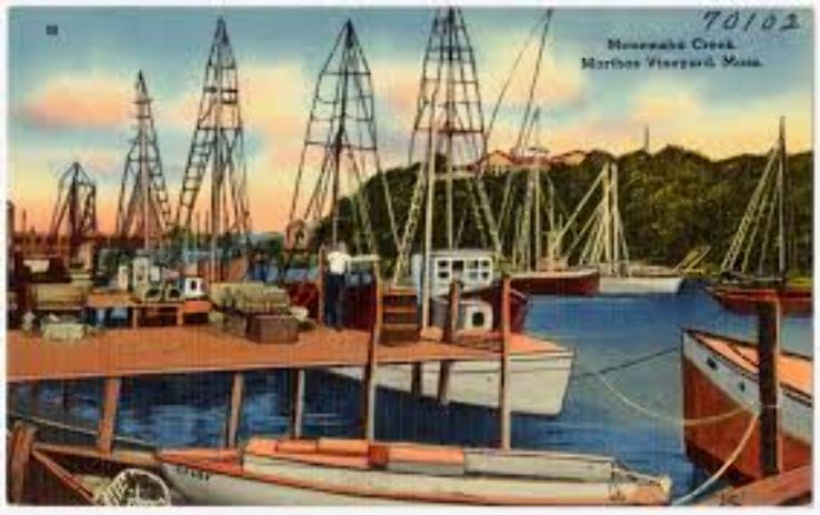 Menemsha Trip Packages