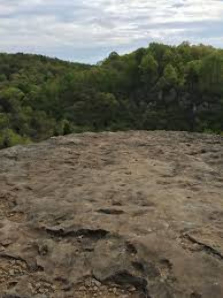 ruffner mountain Trip Packages