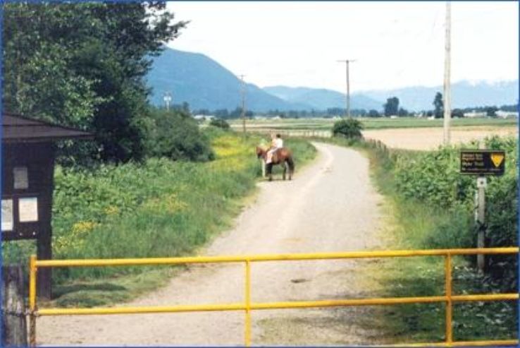 Matsqui Trail Regional Park Trip Packages