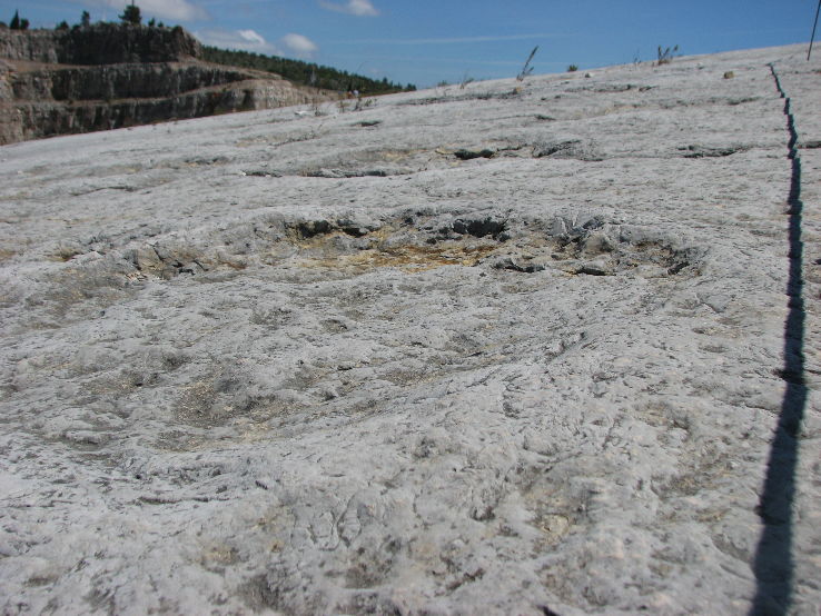 Natural Monument of the Dinosauri Footprints of Ourem Trip Packages
