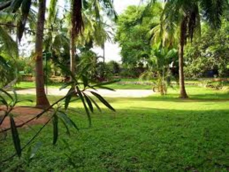 The Martin Farm Trip Packages The Martin Farm Trip Packages