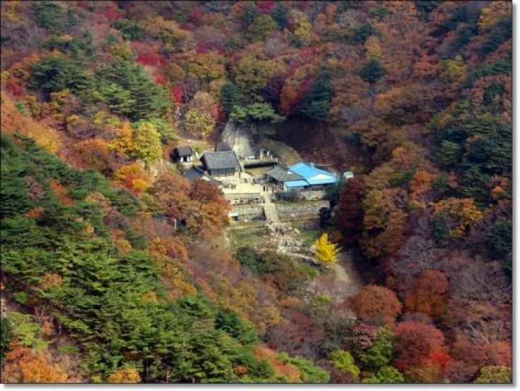 Palgongsan Trip Packages