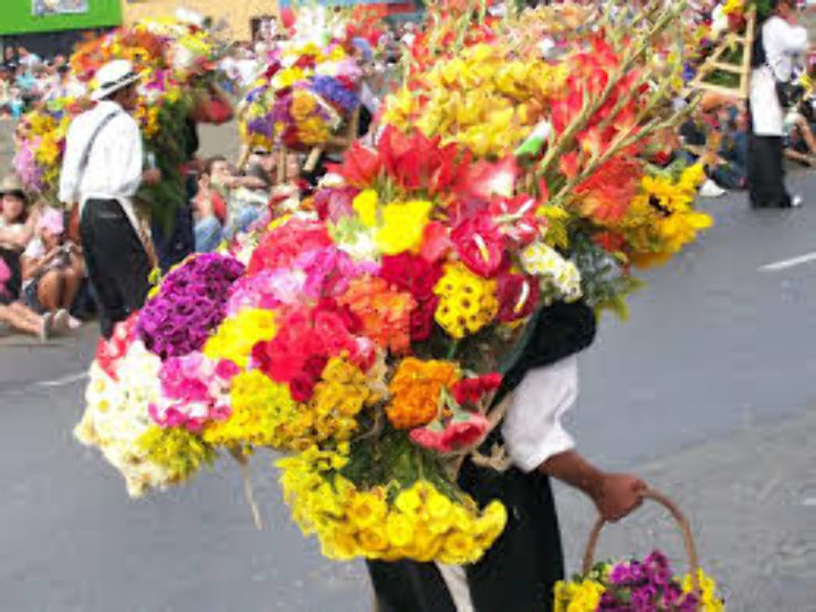 Flower Festival Trip Packages
