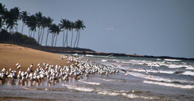 Beautiful tarkarli Tour Package for 2 Days from tarkarli departure