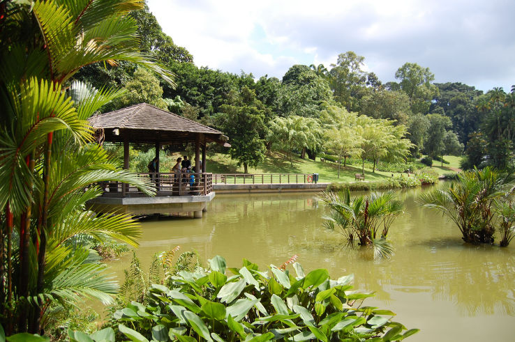 Singapore Botanic Gardens Trip Packages