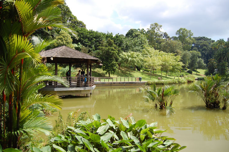 Singapore Botanic Gardens Trip Packages