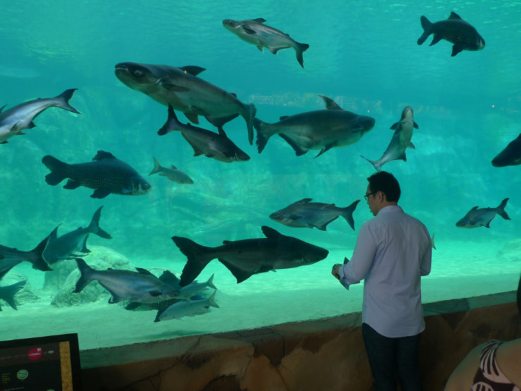 Sungei Buloh Wetland Reserve Trip Packages