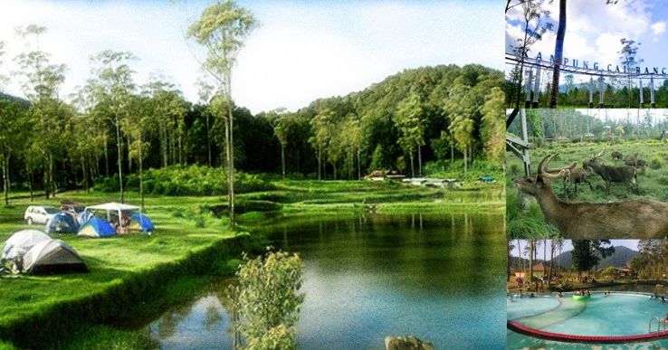 Hasil gambar untuk 3. Kampung Cai Ranca Upas