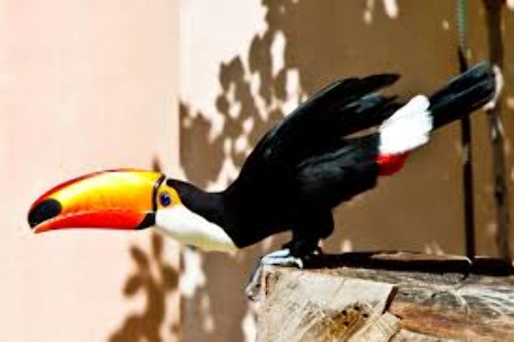 Montecasino Trip Packages