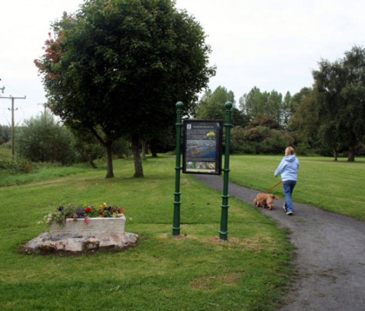 Westfields Wetlands Limerick Trip Packages