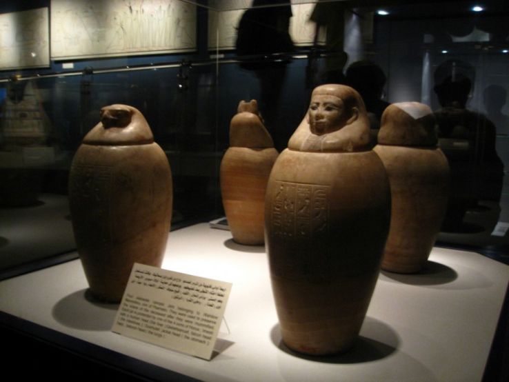 Mummification Museum Trip Packages