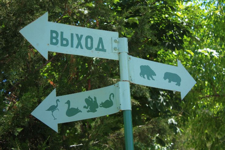 Tashkent Zoo Trip Packages