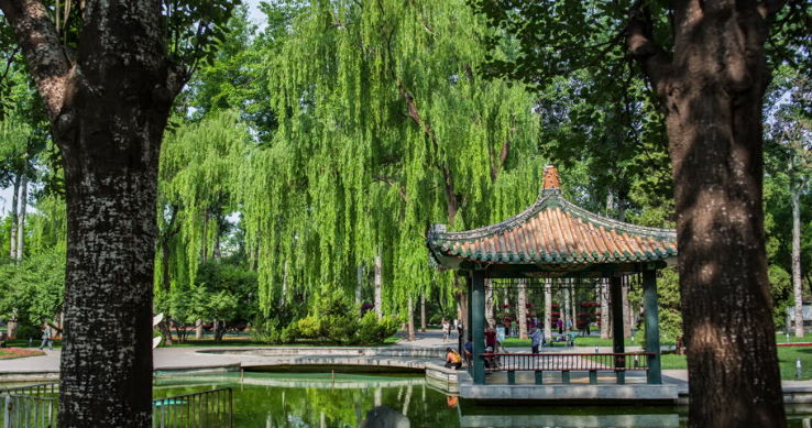 Chungnyeolsa Trip Packages