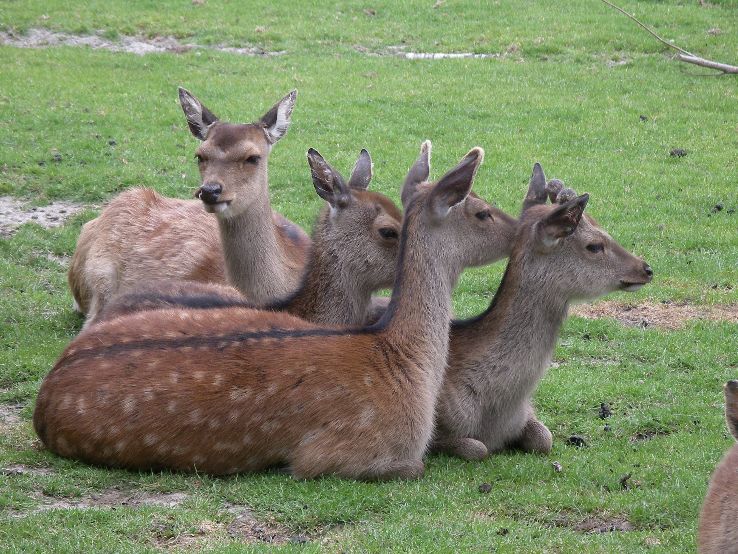 Van Blanckendaell Park  Trip Packages