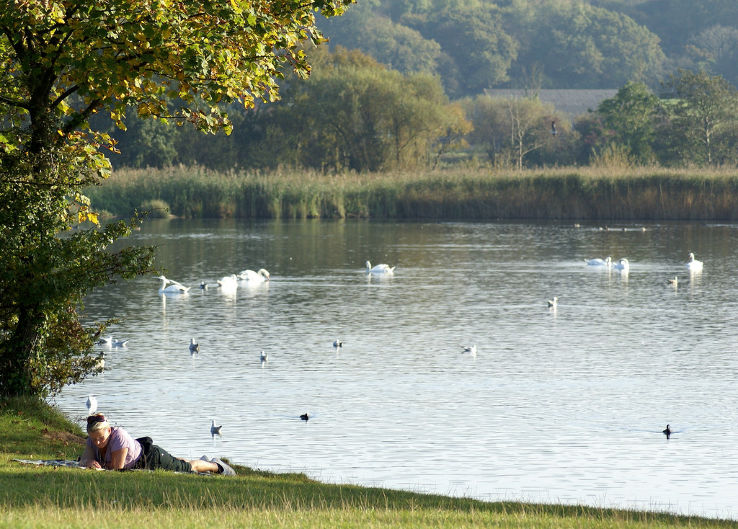 Cosmeston Lakes Country Park  Trip Packages